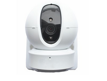 Home camera
